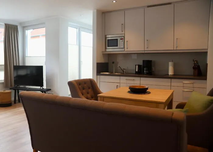 Momentum * 诺德奈